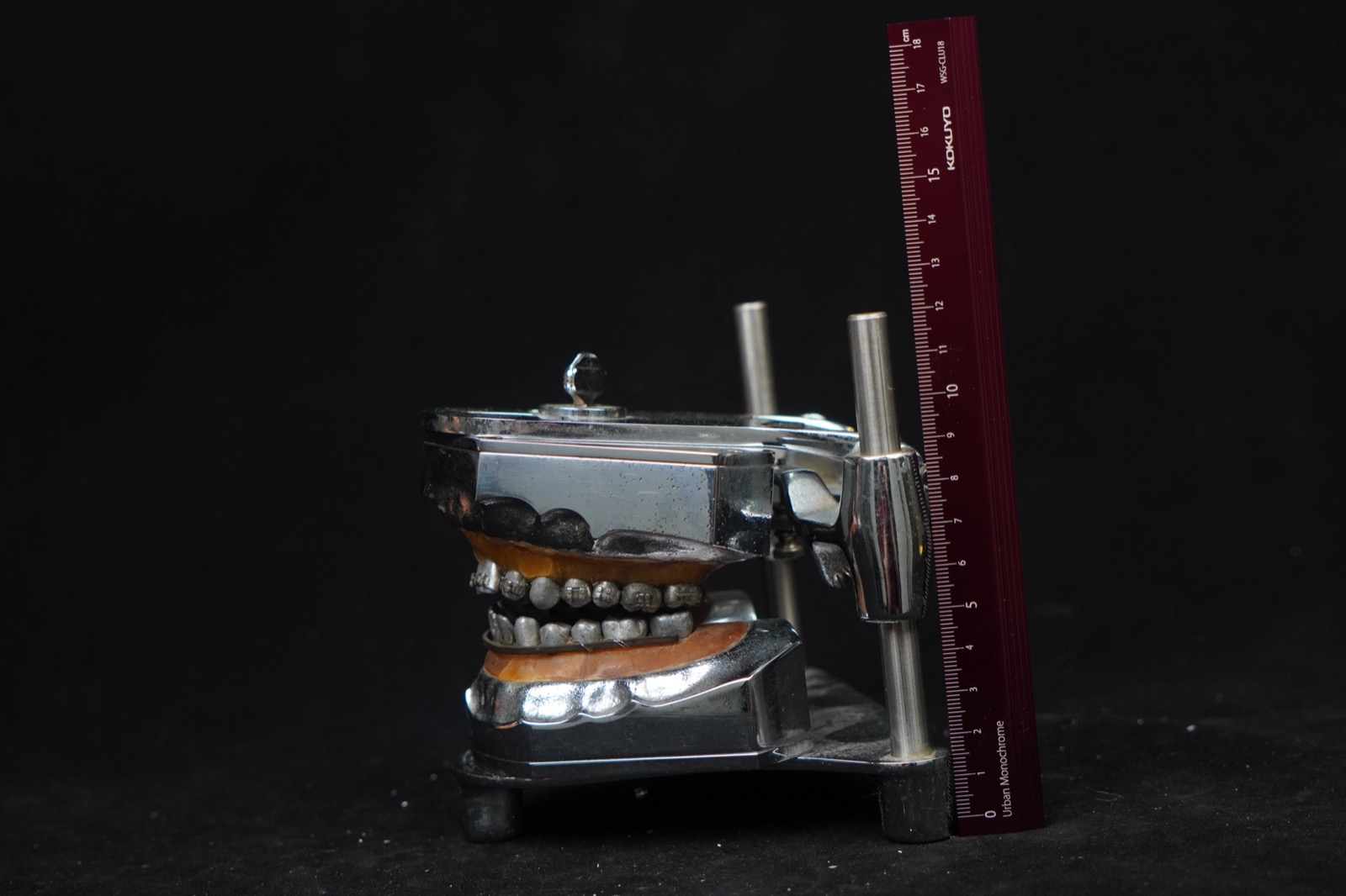 美国 Columbia Dentoform 教学咬合架附牙模